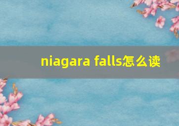 niagara falls怎么读